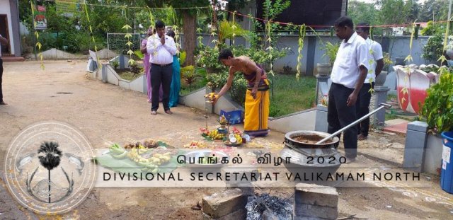 Pongal-7
